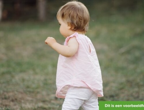 Steungezin gezocht voor vrolijk meisje van 1 jaar