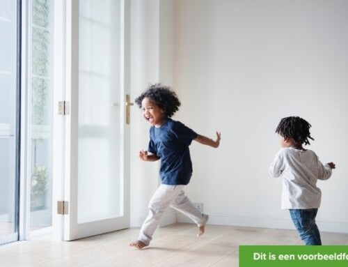 Deze 2 broertjes kunnen niet wachten om te komen spelen – Woenselse Heide