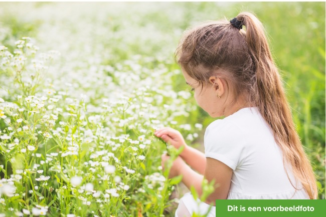 meisje met lang haar in een witte jurk plukt madeliefjes