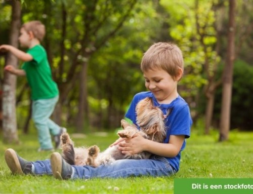 Twee dierenvriendjes zoeken een vrijdagstek
