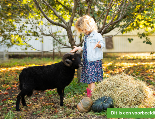 Buiten alle ruimte, binnen een warm welkom?
